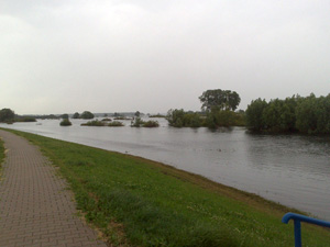 Elbhotel